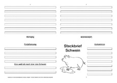 Schwein-Faltbuch-vierseitig-3.pdf